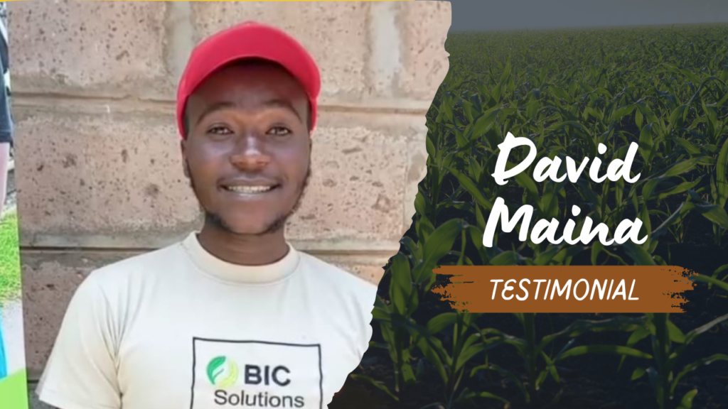 Testimonials – Bic Solutions