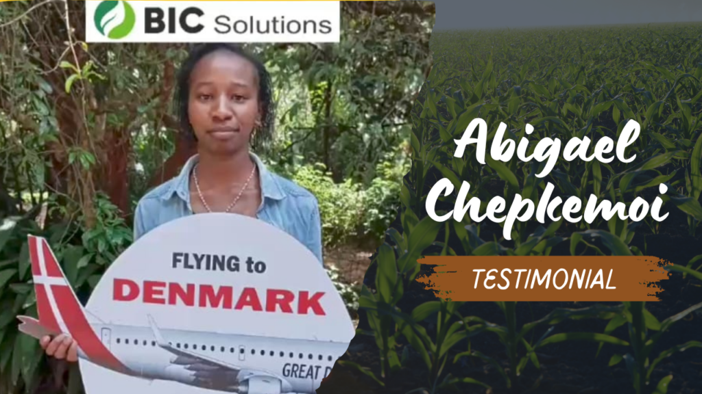 Testimonials – Bic Solutions